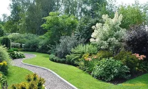 How to Choose Trees and Shrubs for Landscape Design