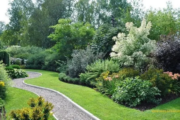 How to Choose Trees and Shrubs for Landscape Design