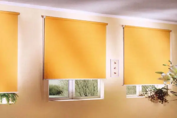 Віконні ролети – багатофункціональне рішення для дому та офісу
