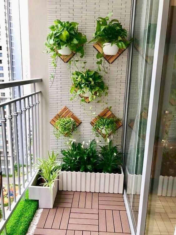 Plants for the balcony