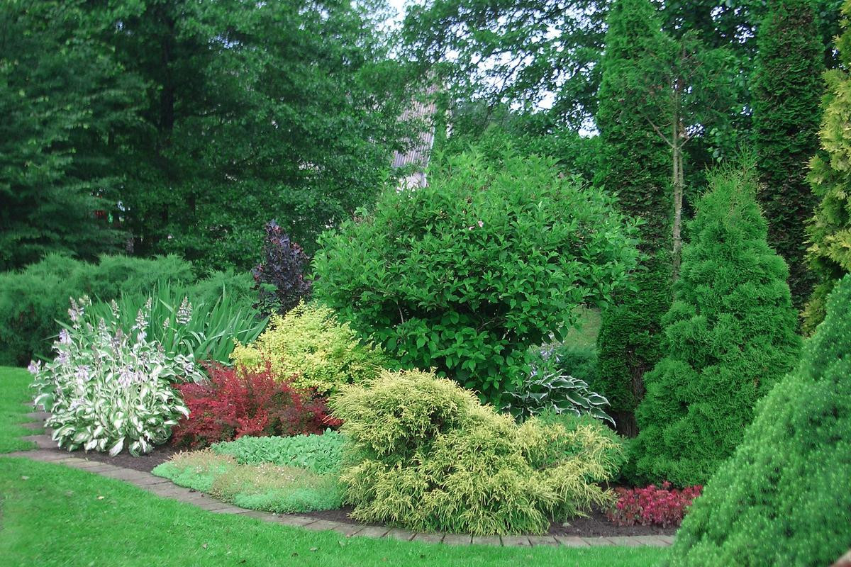 Basic Principles of Garden Plant Selection