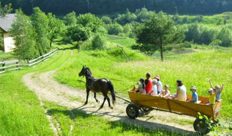 Практичні аспекти розвитку сільського туризму